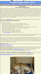 Mobile Screenshot of paradoxspayneuter.com